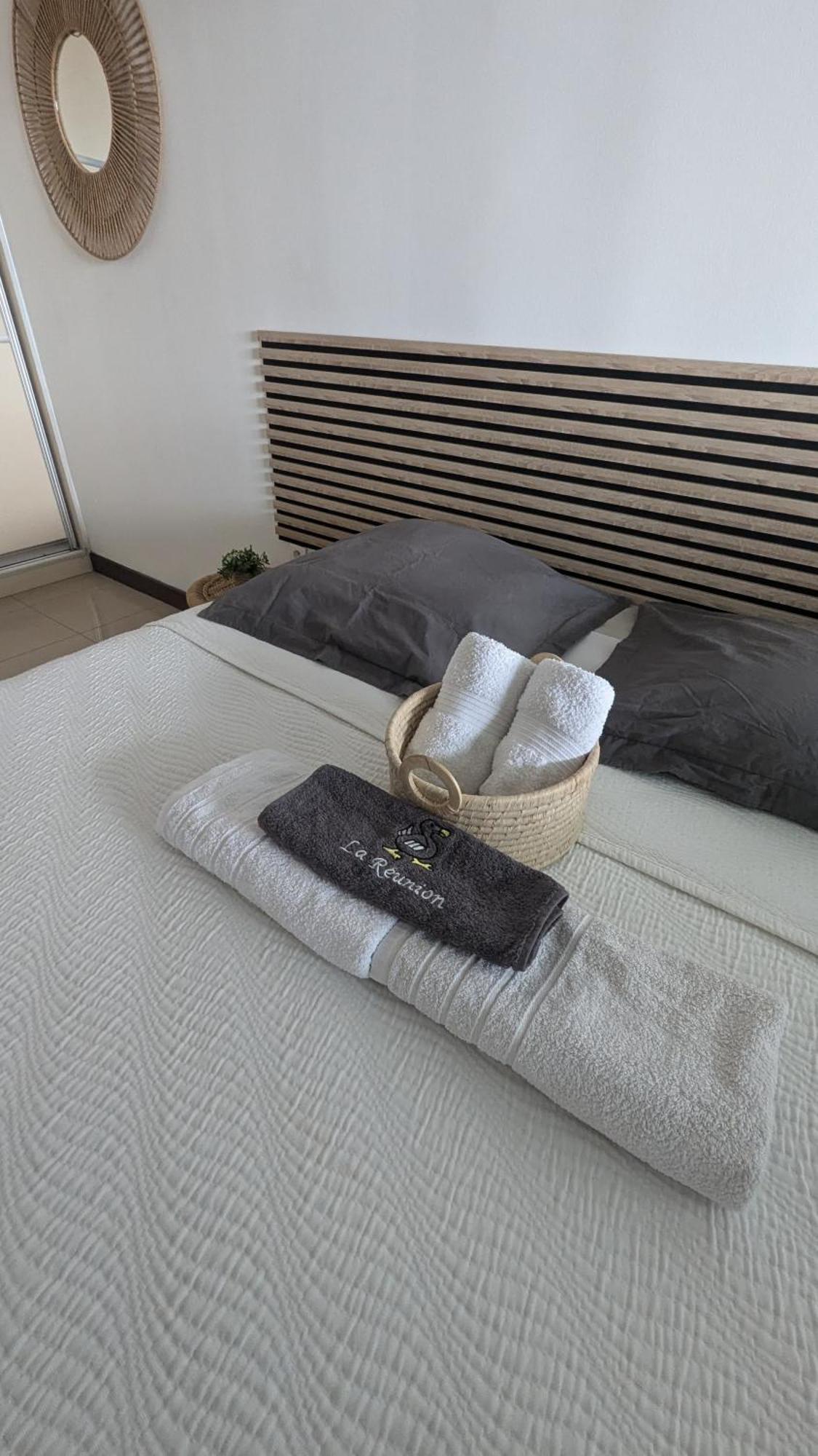 Entierement Equipe, Climatise, Wifi, Au Dernier Etage Sans Vis A Vis Apartment Saint-Denis Exterior photo